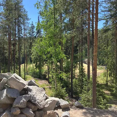 Havu With Outdoor Sauna * Jyväskylä