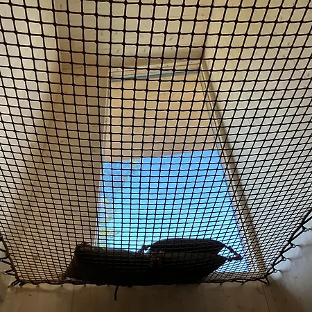 Havu With Outdoor Sauna فيلة